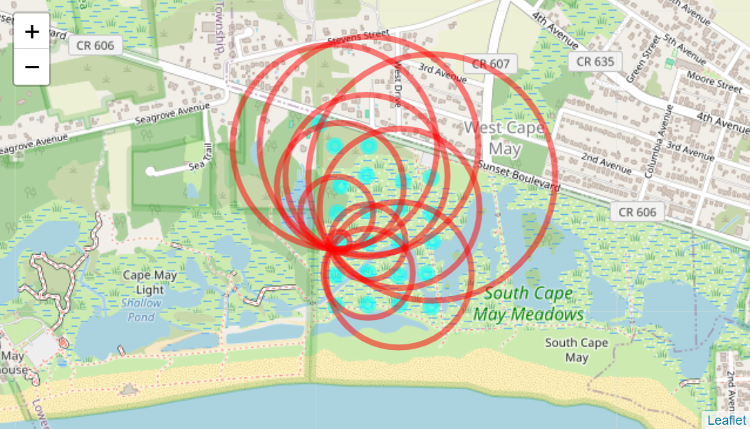 Ring Map